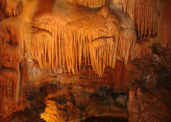 Daire Quinta Do Valao Marinha Grande